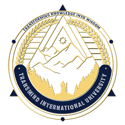 TransMind Logo